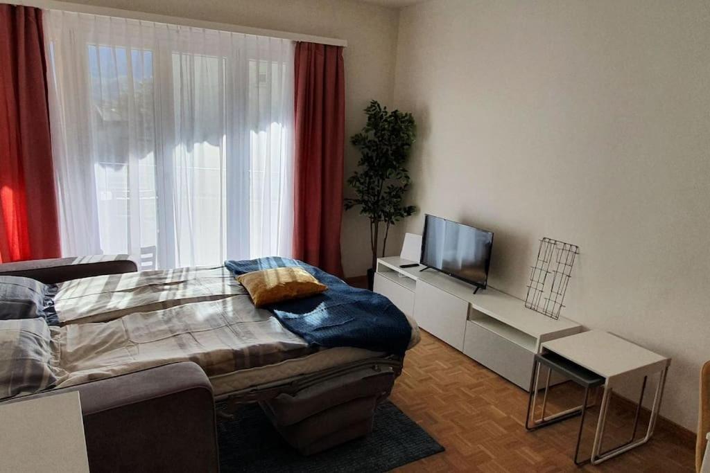Apartment Via San Carlo In Muralto-Locarno エクステリア 写真
