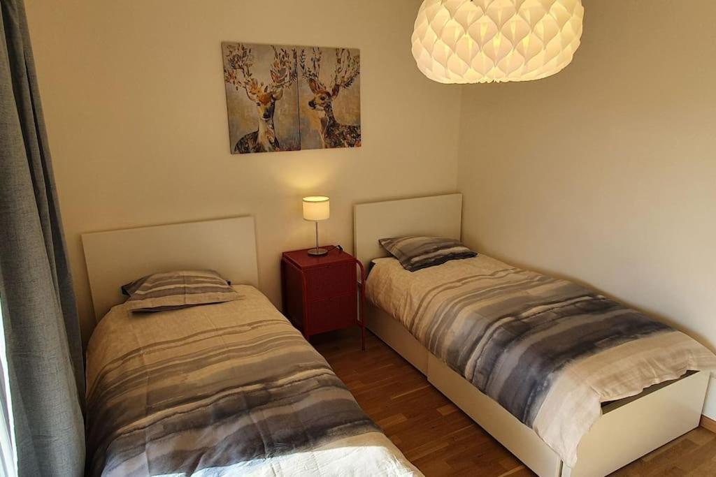 Apartment Via San Carlo In Muralto-Locarno エクステリア 写真